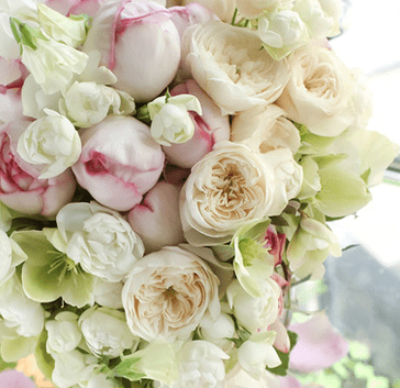 colabドリンクメニュー表