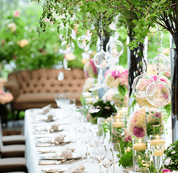 garden_of_eden撮影